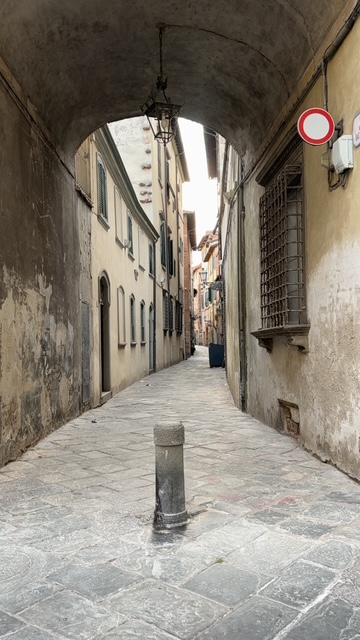Photo taken by Daniel Jancar
