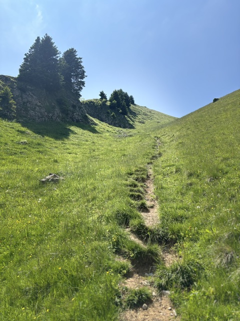 Photo taken by Daniel Jancar