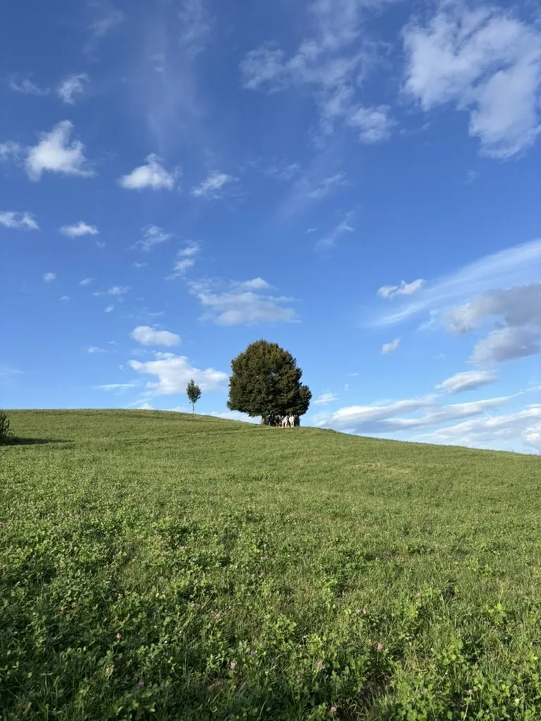 Photo by Daniel Jancar, photo 72 of 90