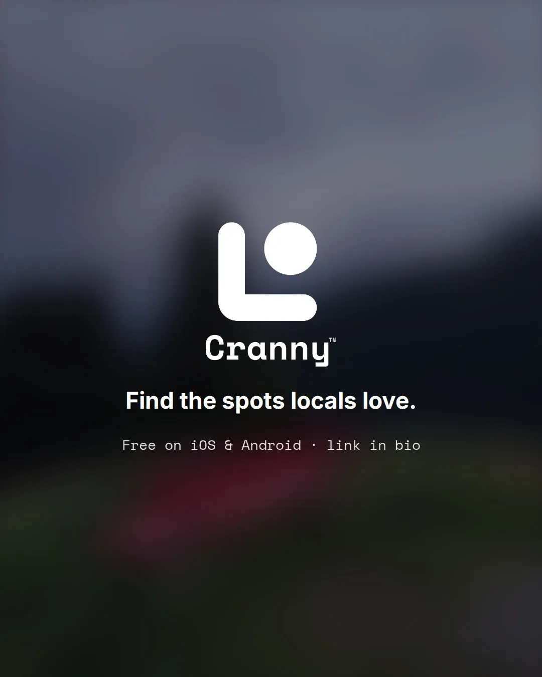 Last slide of the carousel with the Cranny logo and the line Find the spots locals love