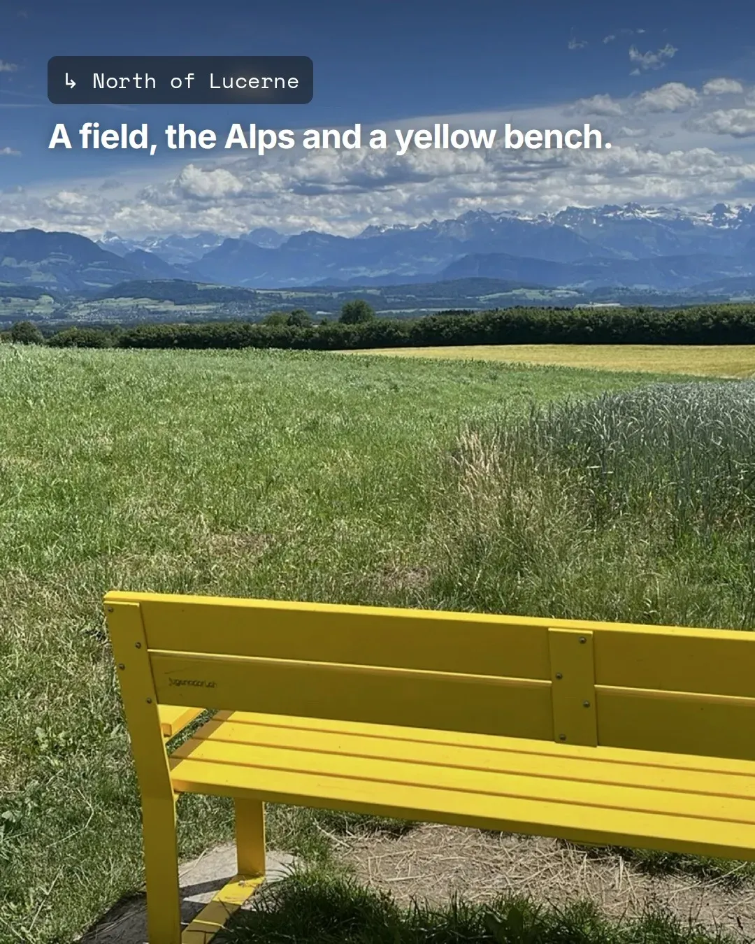 Instagram slide of a yellow bench in a field north of Lucerne with the Alps behind